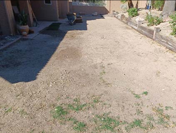Before lawn
